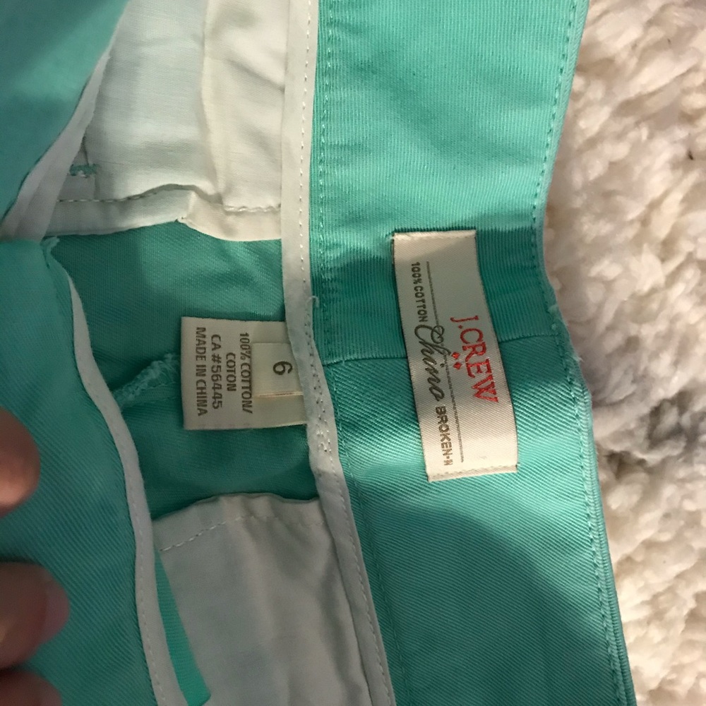 Cute JCrew embroidery light green shorts